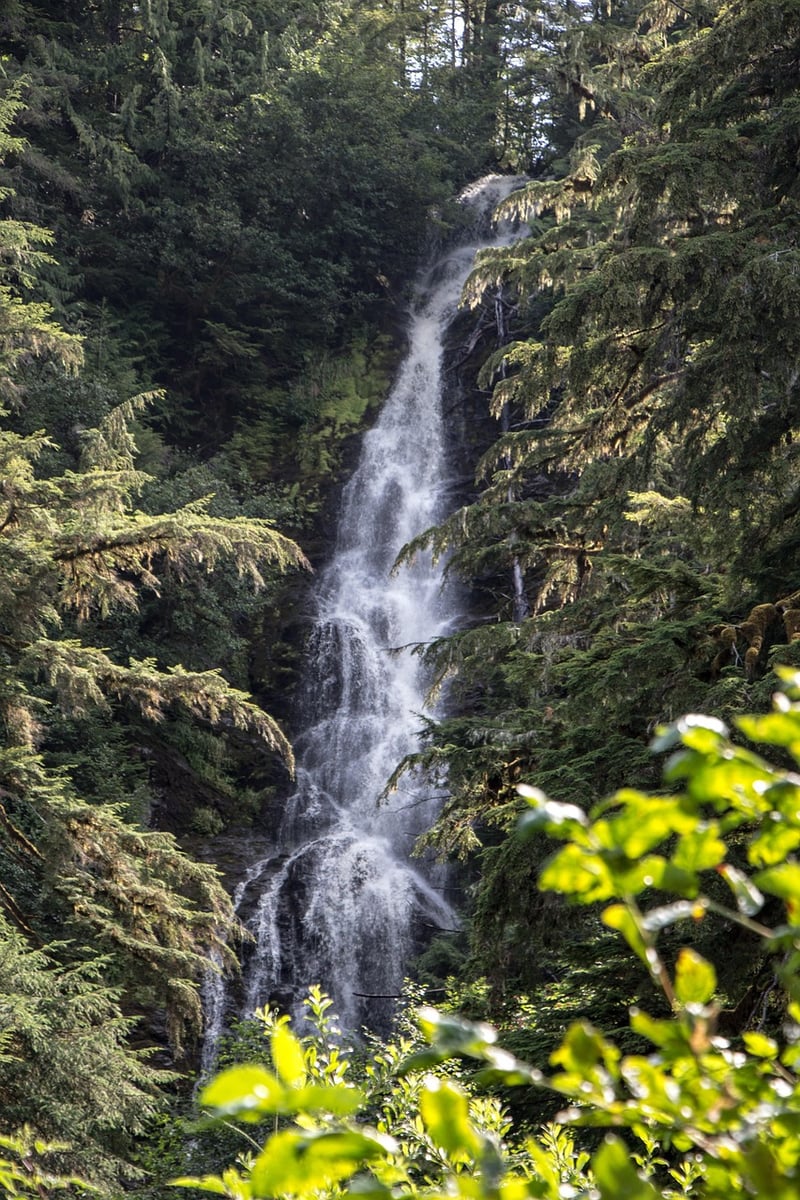 Wilderness Excursions